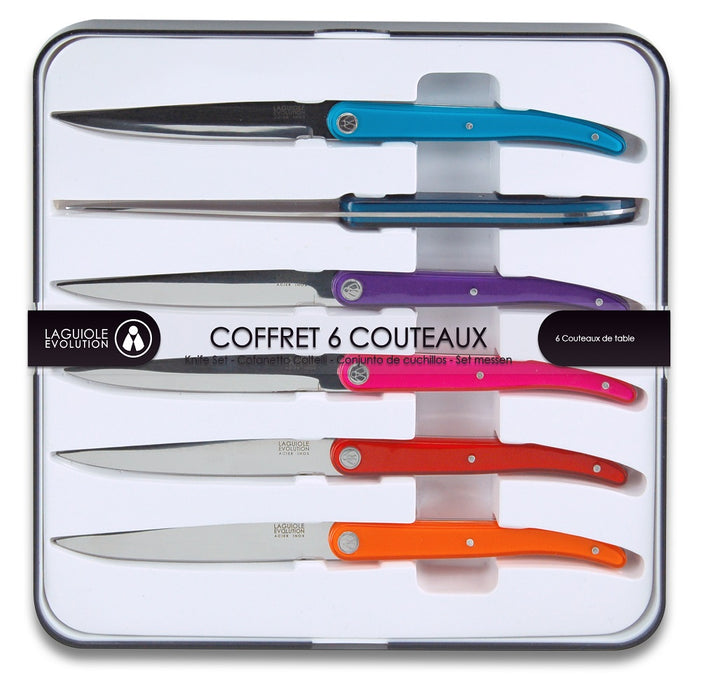 COFFRET 6 COUTEAUX À STEAK SENS MULTICOLORES